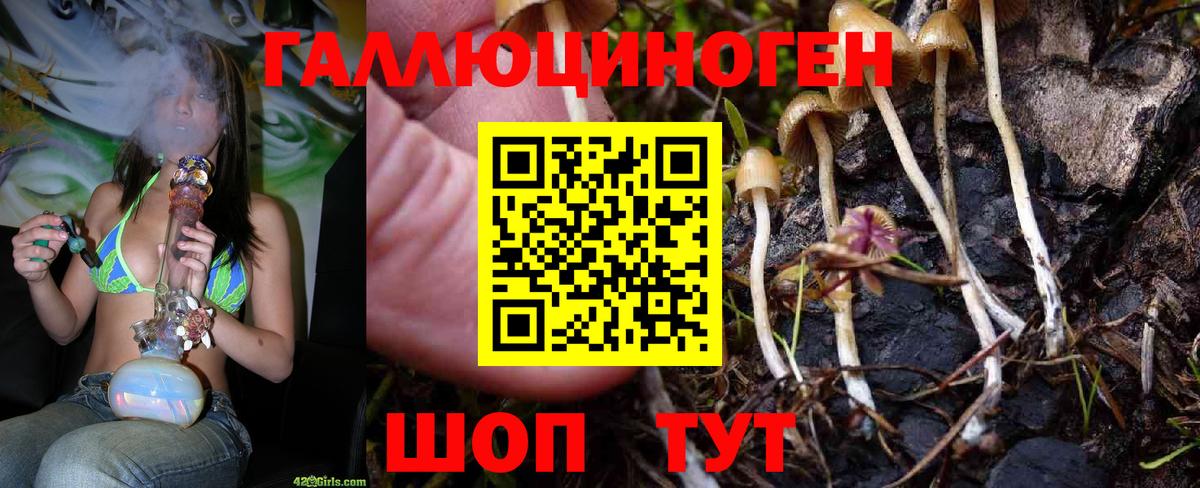 Псилоцибиновые грибы ЛСД Фрязино
